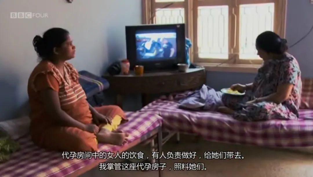 郑爽这次为什么不能被原谅？