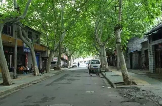 热门电影多处取景南京 又让南京火遍全国