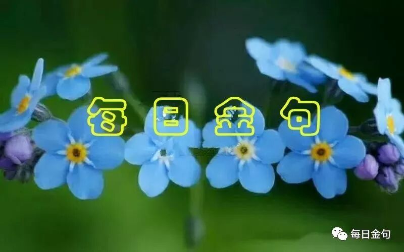 2018 9 9 礼拜日每日金句乐守圣日荒漠甘泉围墙代祷 每日金句 微信公众号文章阅读 Wemp