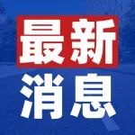 【官宣】定了！正式公布：为深圳所有人免费培训英文！3月28日开始！