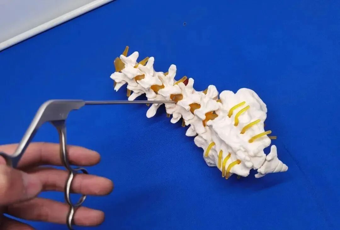 手术器械怎么消毒骨科精读 ｜ 手术做了这么多，如何使手术器械使用寿命更长！_https://www.jmylbn.com_新闻资讯_第2张