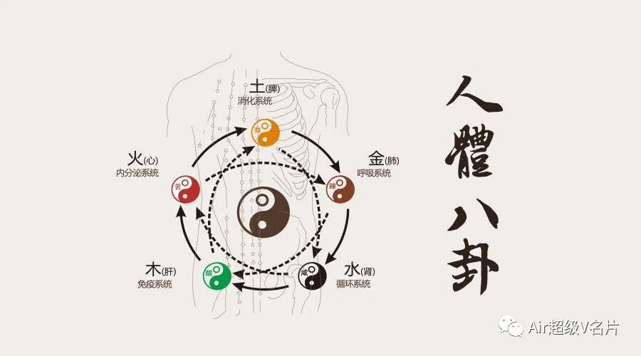 古法经络|人体五臟六腑与经络流注！