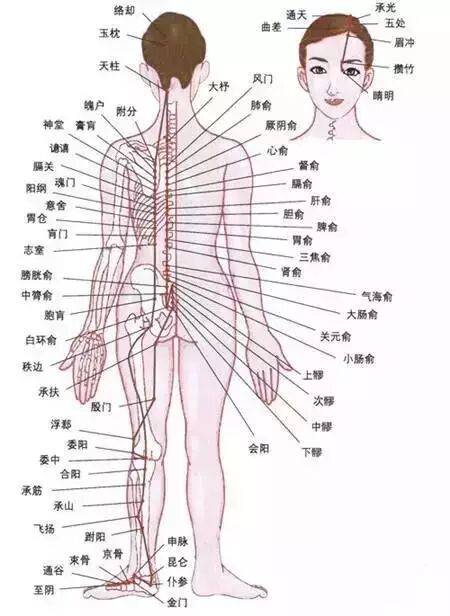古法经络|如果经络不通顺，先从哪条经络开始疏通呢?