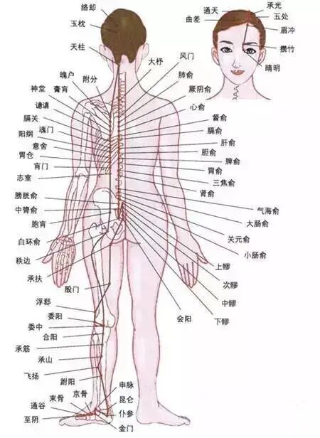 古法经络|经络不通，先调哪里？