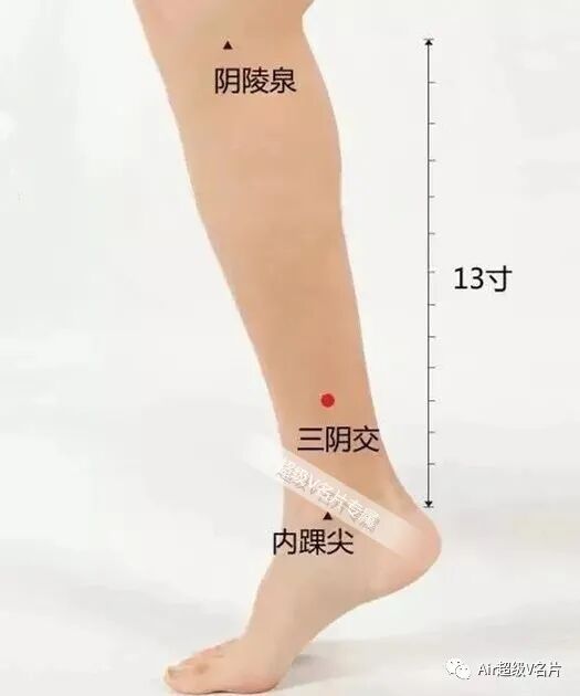 三阴交：女人的"不老穴"！延缓衰老、保护