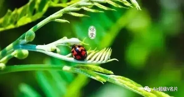 几点起床最健康？答案让人吃惊！都看一眼吧