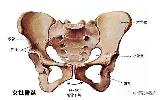 古法经络|产后骨盆不恢复，毁了身材，更毁了健康！