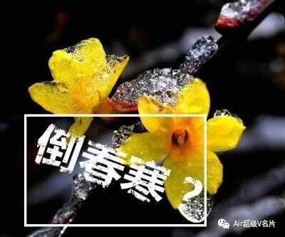 倒春寒，三大方法预防伤肺的寒邪！振奋阳气，驱散寒湿之邪！