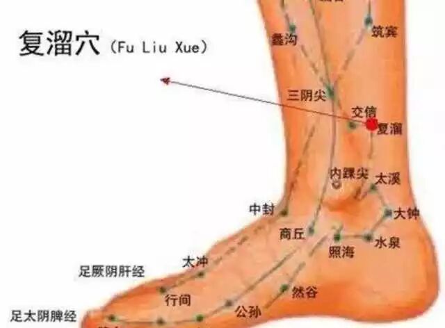 古法经络|不同穴位对应不同的疾病防治功能，值得收藏！