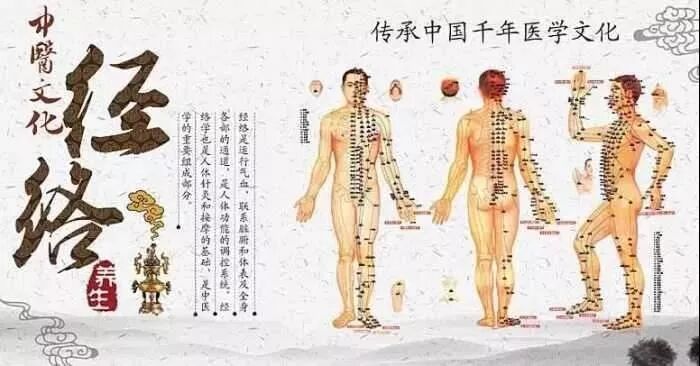 王洪刚古法经络|经络速记口诀 中医经络调理！