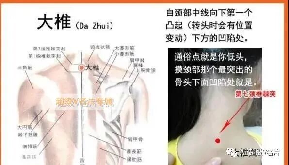 大椎通，全身畅！