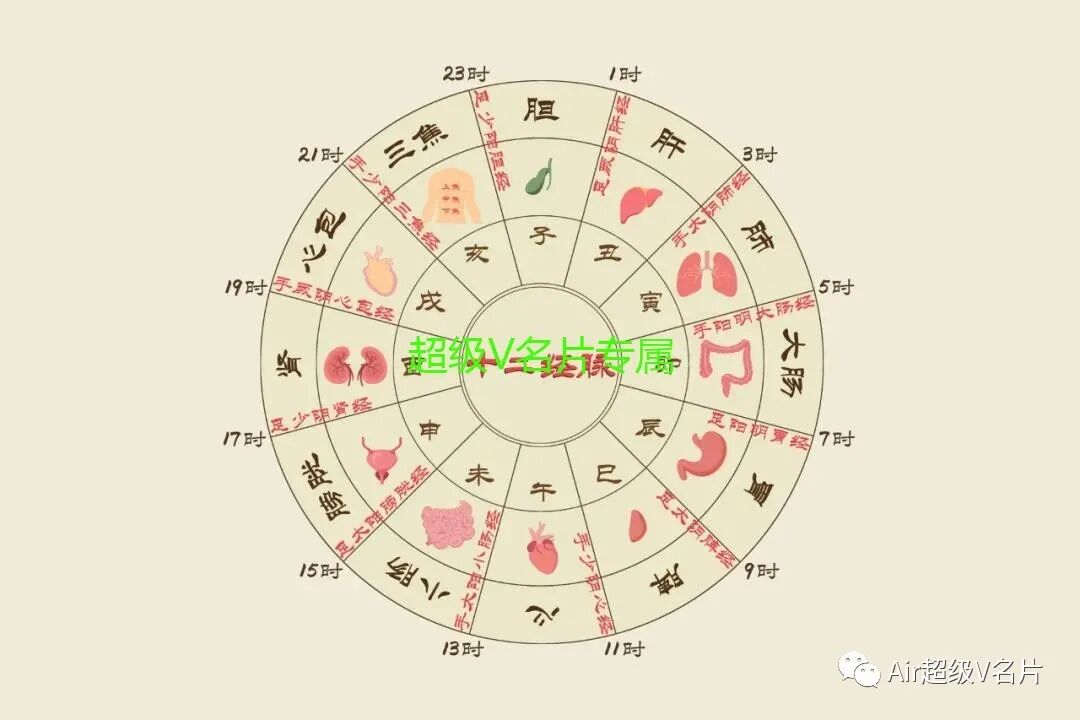 十二时辰养生表,掌握了自己的身体，也就掌握了长寿健康的秘诀！