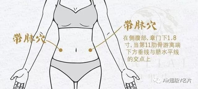 古法经络|带脉不通，小腹必胖！