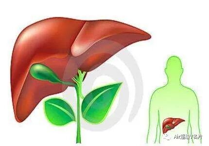 古法经络|春天不养肝，夏天徒伤悲