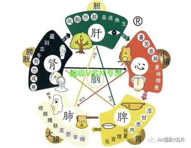 睡眠不好做肩颈,子宫肌瘤做臀部，瘦腰收腹做带脉！