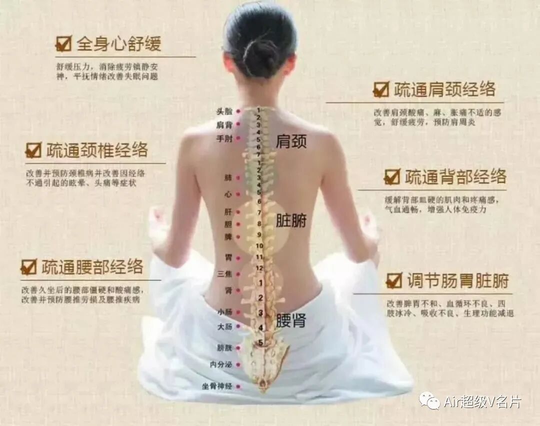 古法经络|你的“背”泄露你的“病”！赶紧看一看~