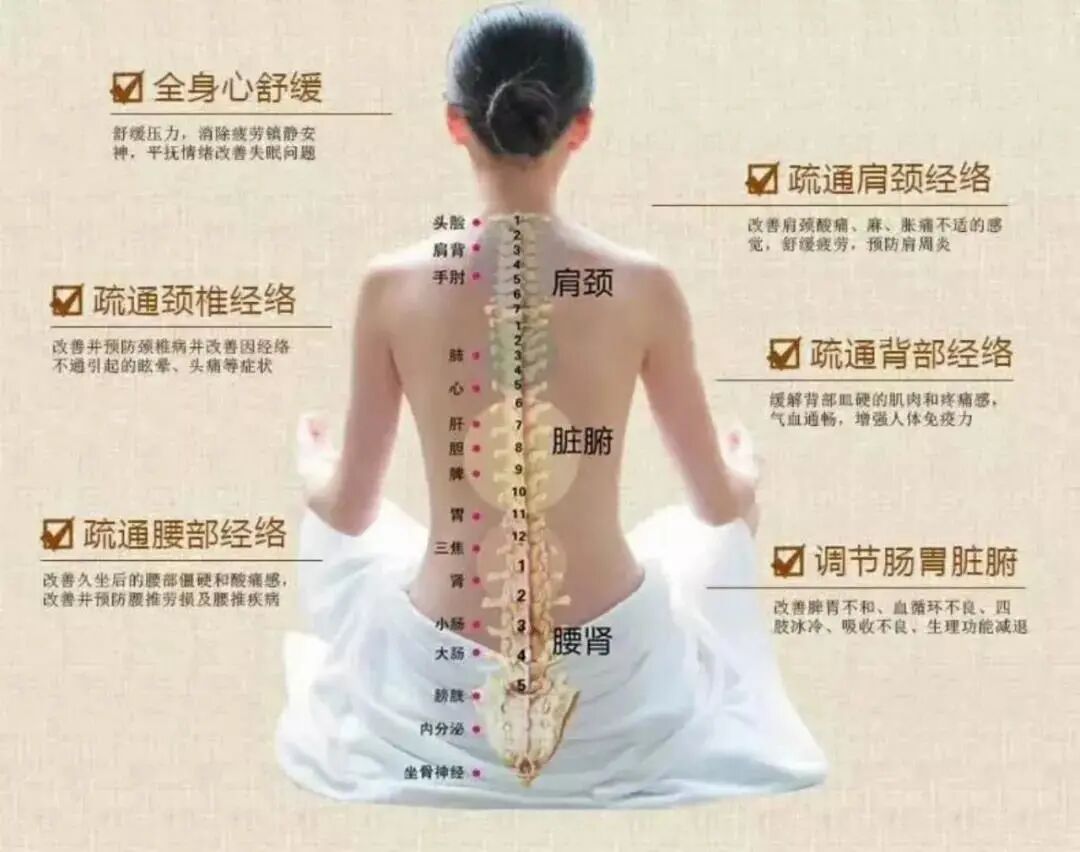 古法经络|养背就是养命！做一次背，至少九种功效!