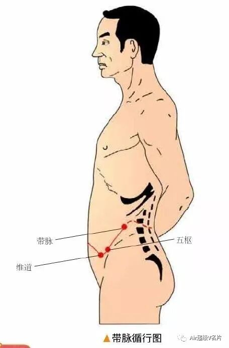古法经络|带脉——健康的安全带！