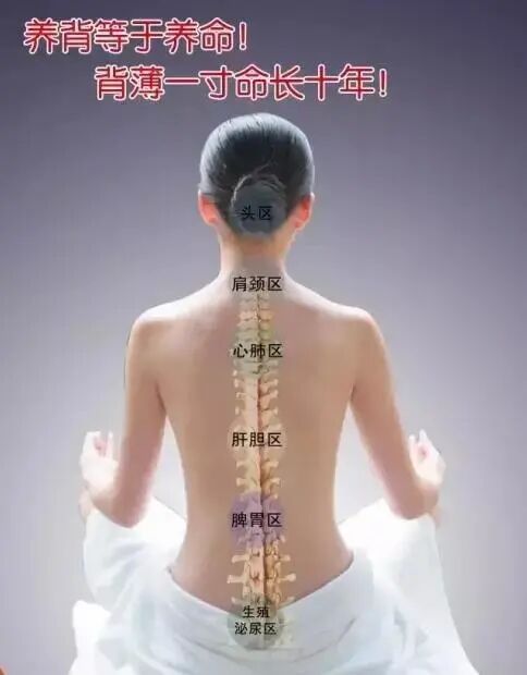 背厚1公分，人显老3岁！背厚薄如纸才是最健康的状态！