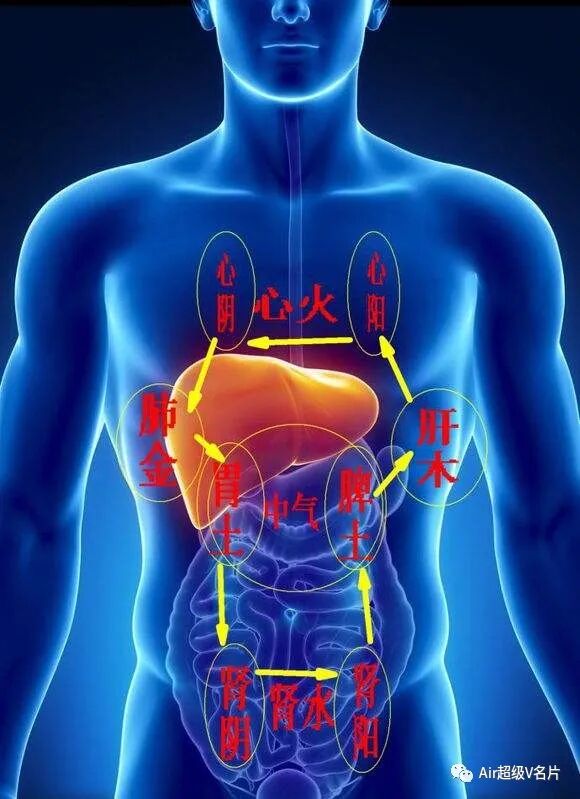 古法经络|人体有四瘀：痰、血、浊、湿！