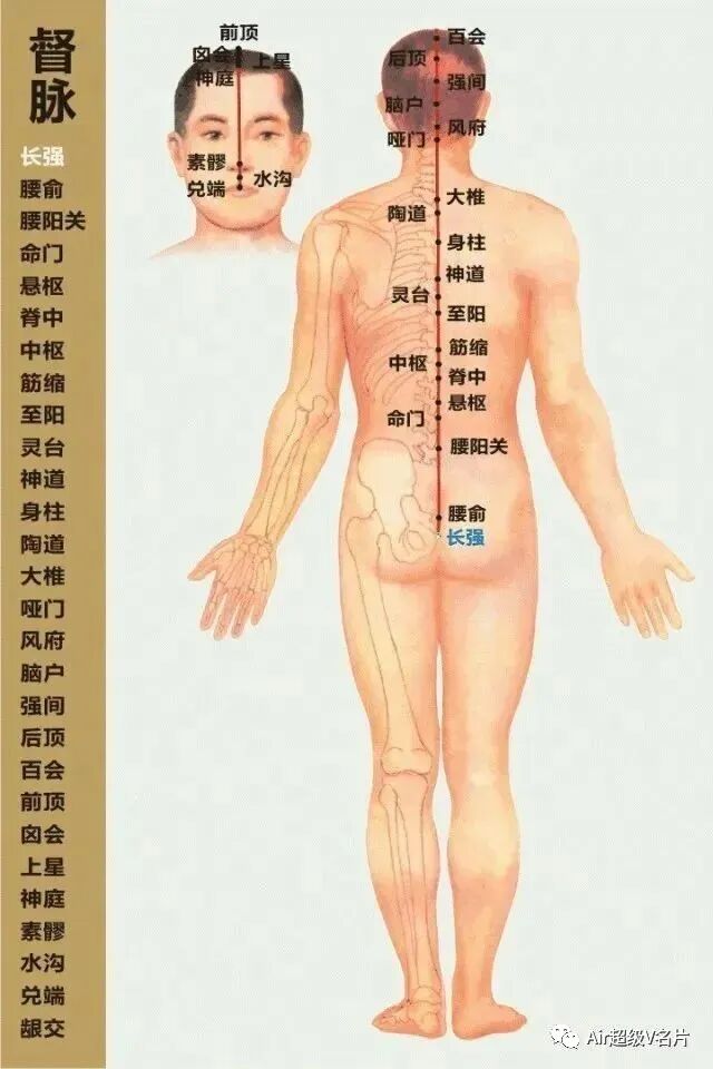 古法经络|人体经络的调理功效！