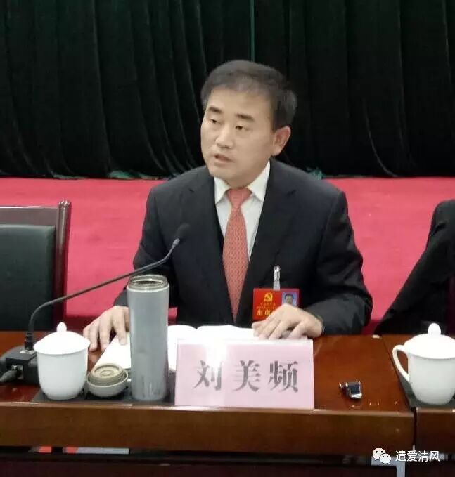 聚焦党代会刘美频参加麻城代表团分组讨论