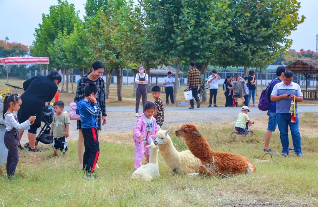 美景与佳肴齐享丨祥和庄园的休闲慢时光 美景与佳肴齐享丨祥和庄园的休闲慢时光