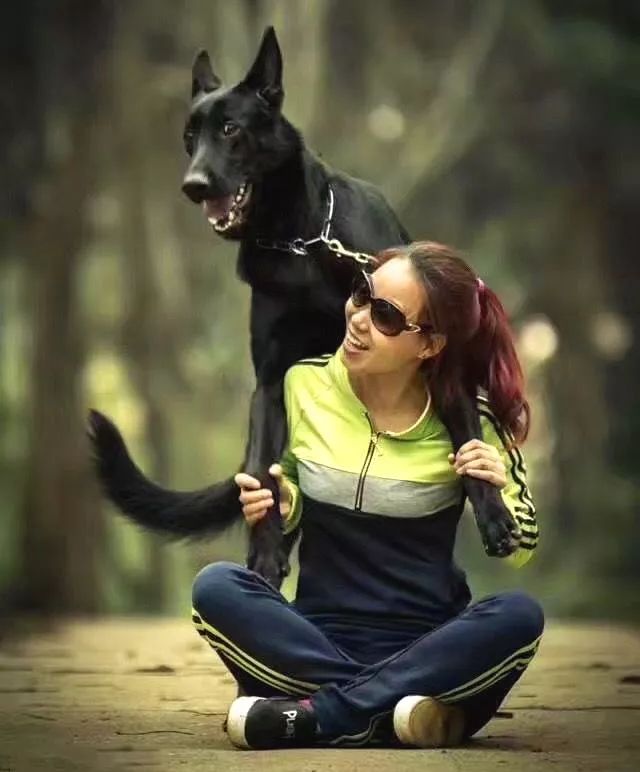 就在明天!世界名犬齐聚台儿庄古城祥和庄园,精彩PK等你观战! 就在明天!世界名犬齐聚台儿庄古城祥和庄园,精彩PK等你观战!