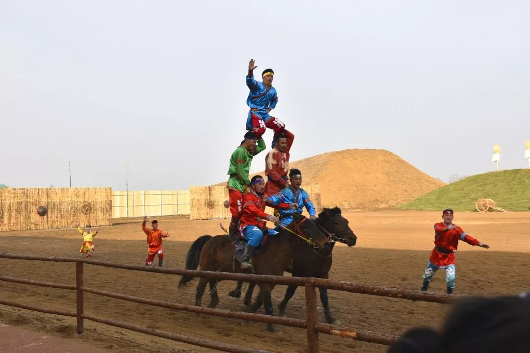就在明天!世界名犬齐聚台儿庄古城祥和庄园,精彩PK等你观战! 就在明天!世界名犬齐聚台儿庄古城祥和庄园,精彩PK等你观战!