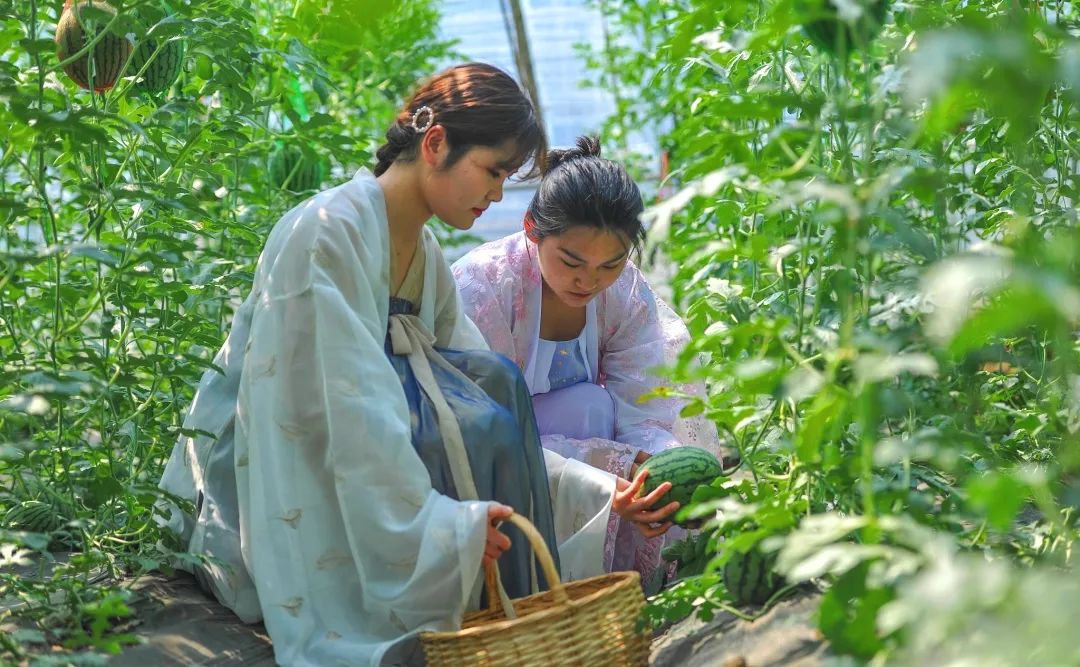这个夏天,一起来台儿庄祥和庄园清凉一夏! 这个夏天,一起来台儿庄祥和庄园清凉一夏!