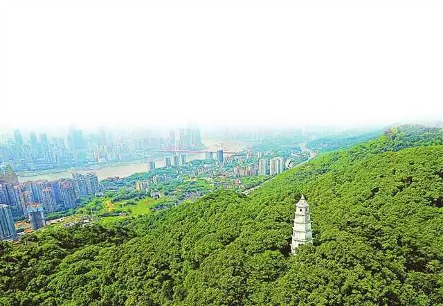 重庆主城"四山"如何保护提升?这9招让"城市绿肺"更美
