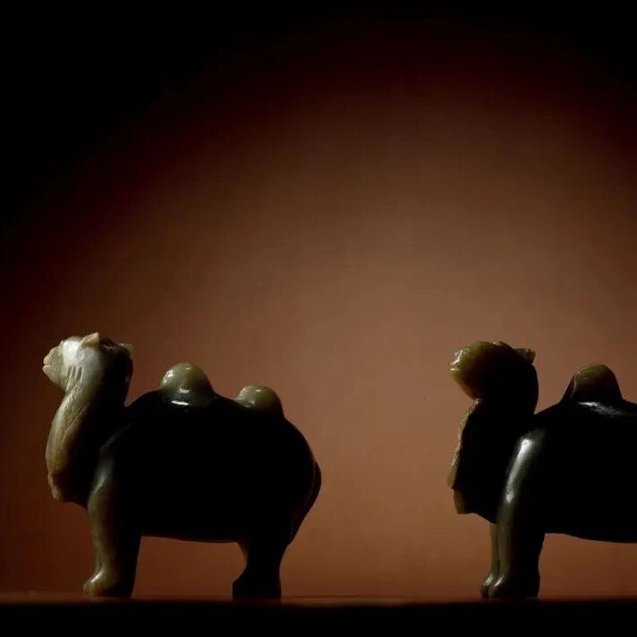 2022 |  פ  ɳããٵ  ...ͼƬ