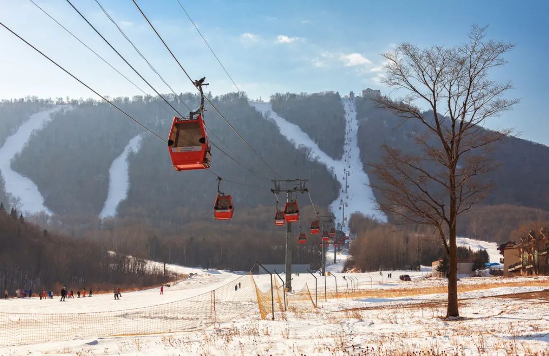 尔滨火了！网友预算18万求攻略，我给大家准备了一份哈尔滨最全旅游攻略，记得收藏