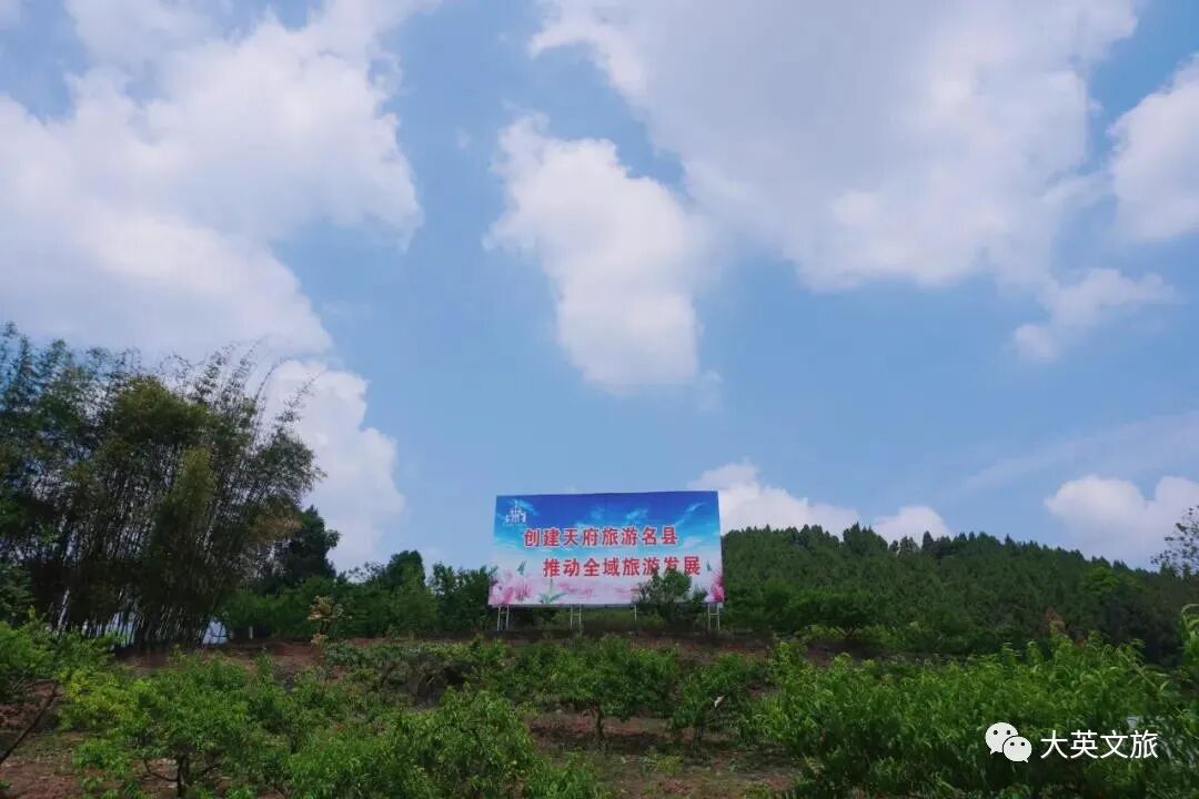 最新资讯 小窗实地打卡 遂宁这个地方的桃子熟啦 好吃又便宜 快来摘 遂宁万事通微信公众号 遂宁招聘 求职 遂宁二手房信息 遂宁二手买卖 遂宁培训教育