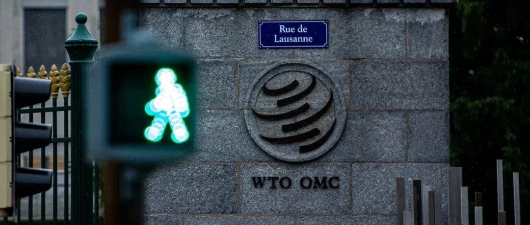 最新消息！中国胜诉