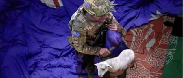 锐参考 | 澳大利亚还有人“拱火”！今天，阿富汗学者为中国发声——