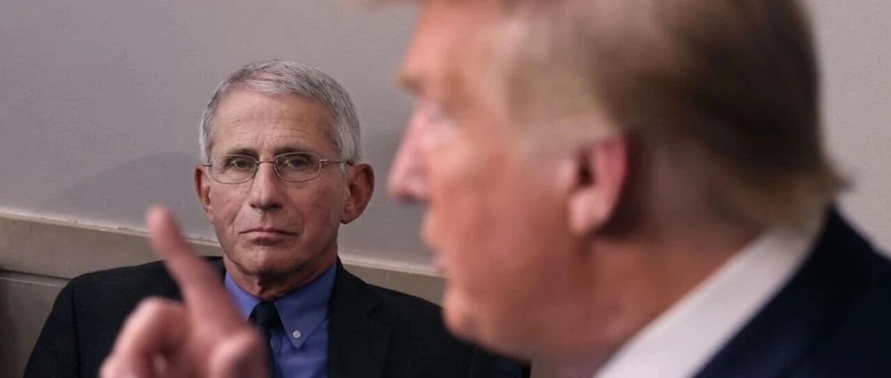 画风突变！特朗普又双叒谈起福奇……