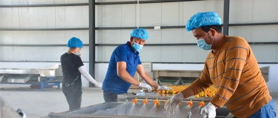 “抹黑新疆‘让美国看上去很愚蠢’”