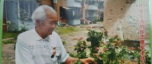 抗美援朝70周年 | “天一黑，战士们就像猛虎出山”