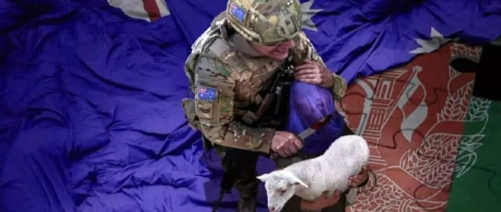 锐参考| 澳大利亚总理要求中国道歉？凭什么！