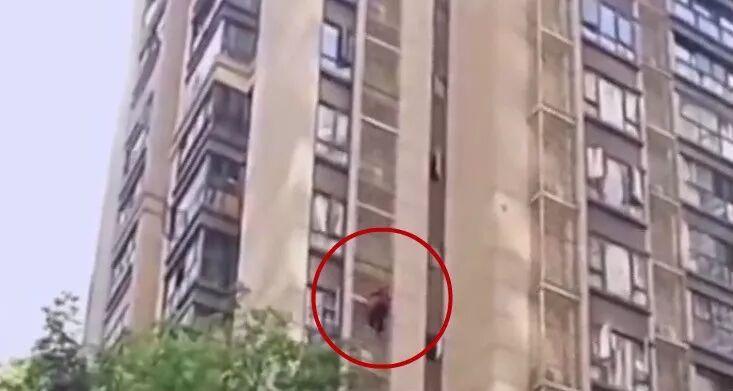 中国“硬核”奶奶徒手爬下10层楼，外国网友大呼惊险！（视频/组图） - 1