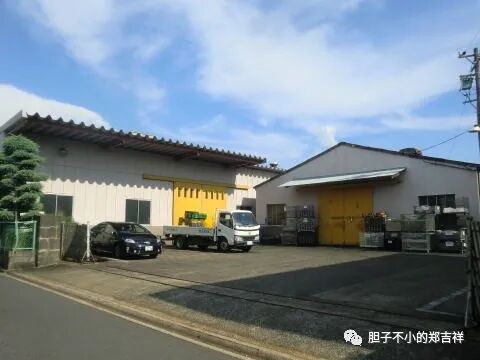 名古屋情人杀人事件 下 胆子不小的郑吉祥 微信公众号文章阅读 Wemp