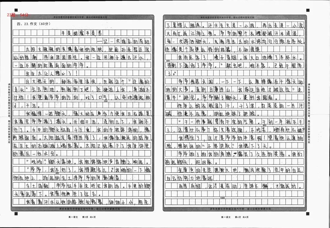 记一次的劳动作文怎么写