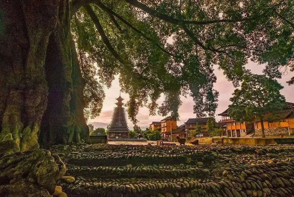 榕江县人民政府网 - 纵情苗山侗水 跑马甜甜榕江