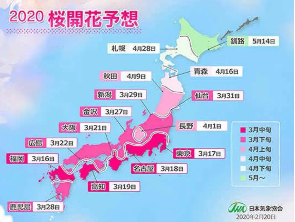 暖冬影响日本樱花前线受全面提前 日本花粉症如何防 东京爱家园 微信公众号文章阅读 Wemp