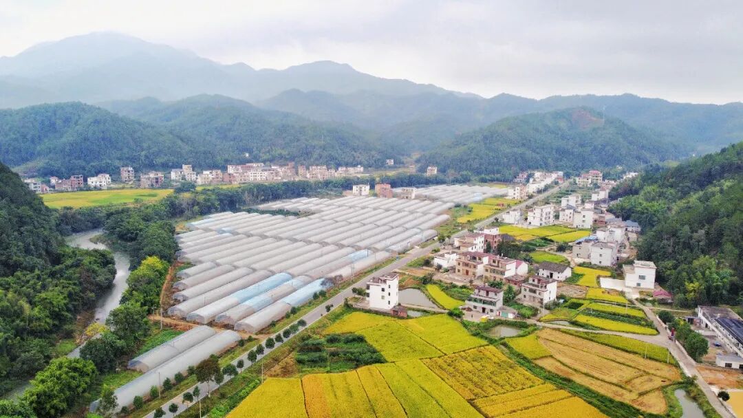 上犹县信息公开