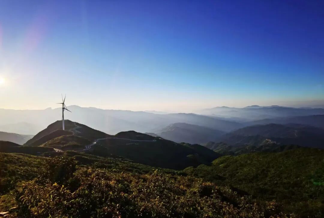 践行环保,双溪草山与你共筑蓝天 | 上犹县信息公开