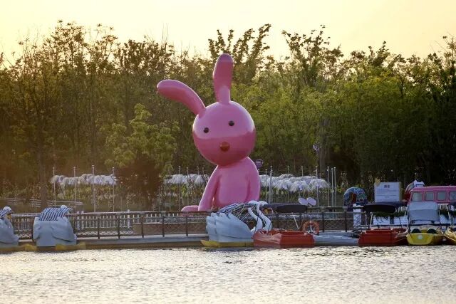 洛克王国冒险岛   静湖广场上的萌动粉红兔