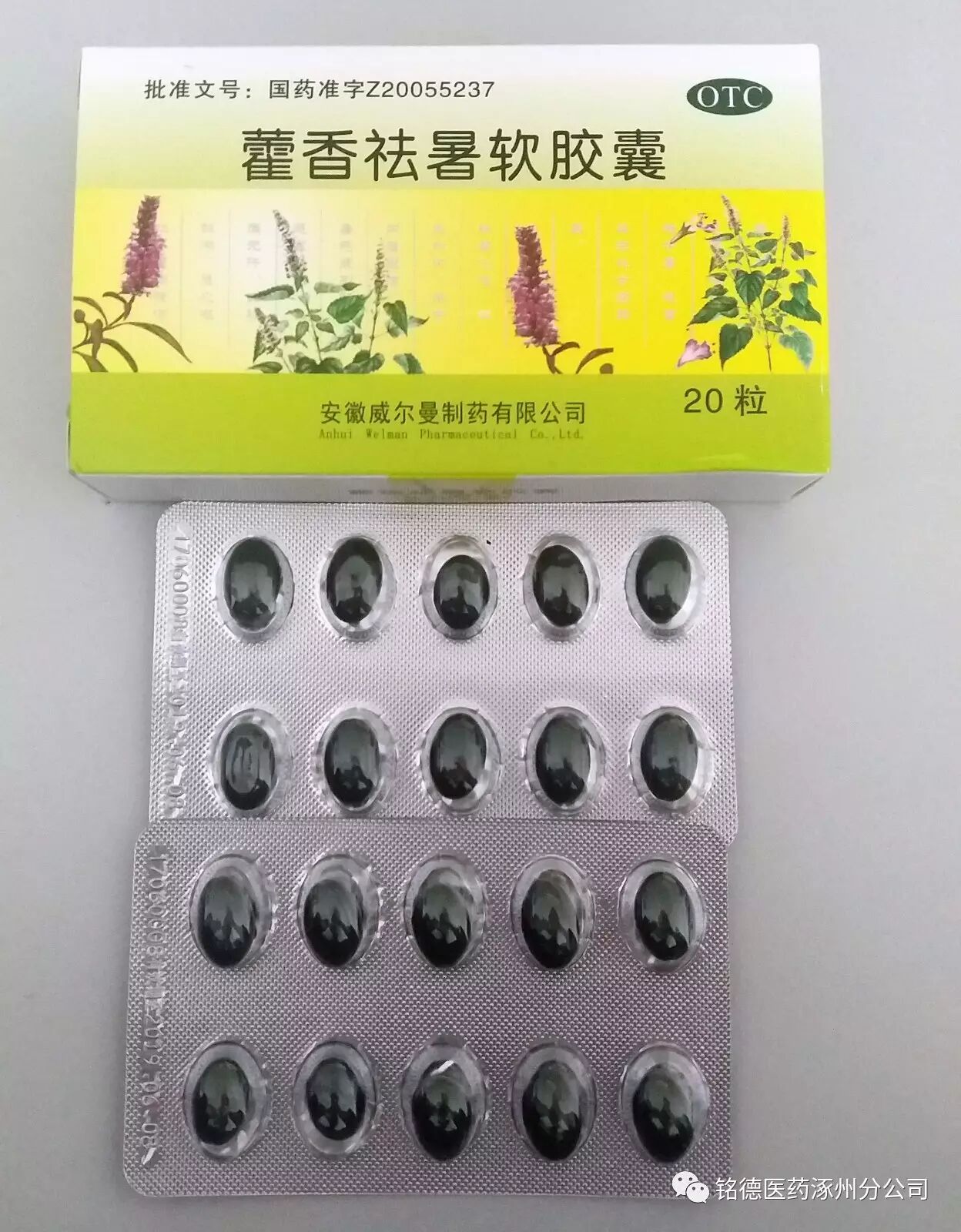 广西板蓝根冲剂联盟,新品介绍