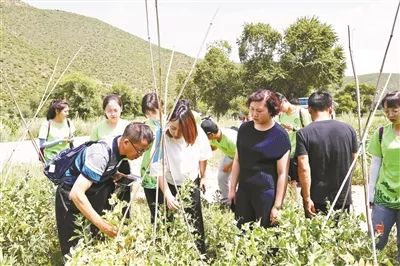 村医致富经_村医致富经免费完整版ab_致富小村医